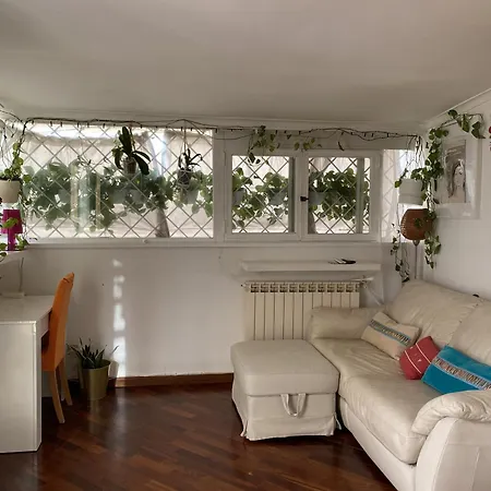 Rooftop And Privacy Over Trastevere