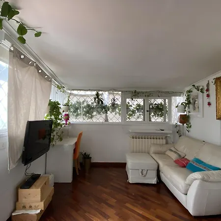 Rooftop And Privacy Over Trastevere 罗马