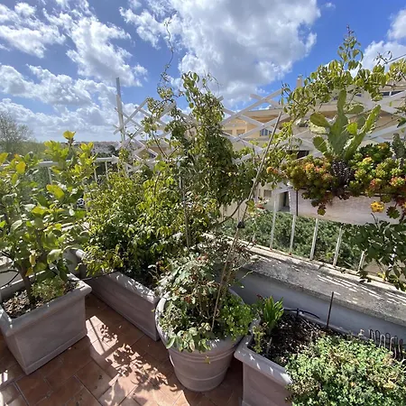 Rooftop And Privacy Over Trastevere